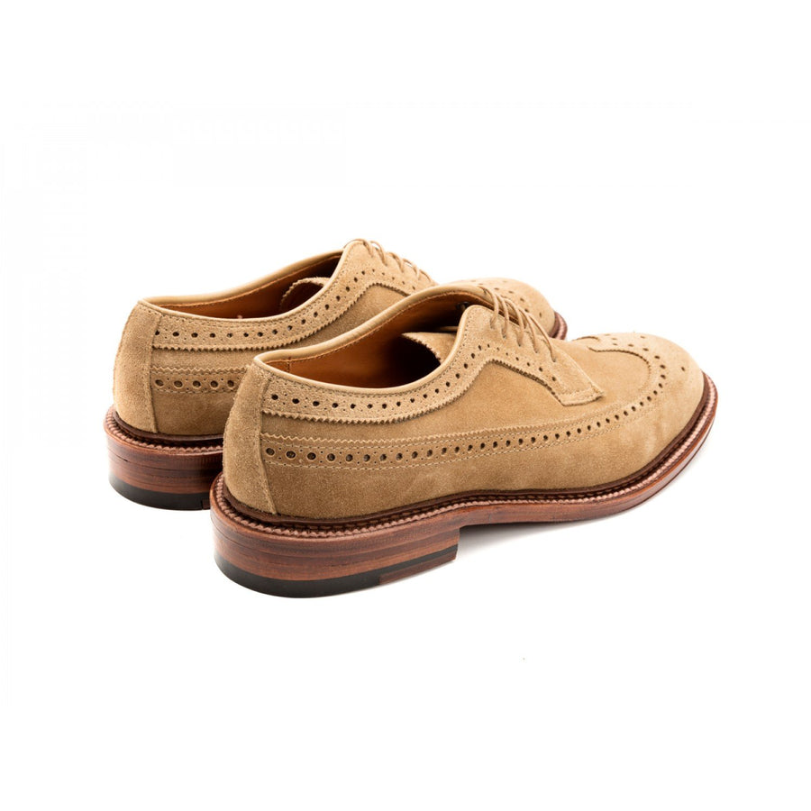 Back angle view of Alden longwing blucher shoes in tan suede