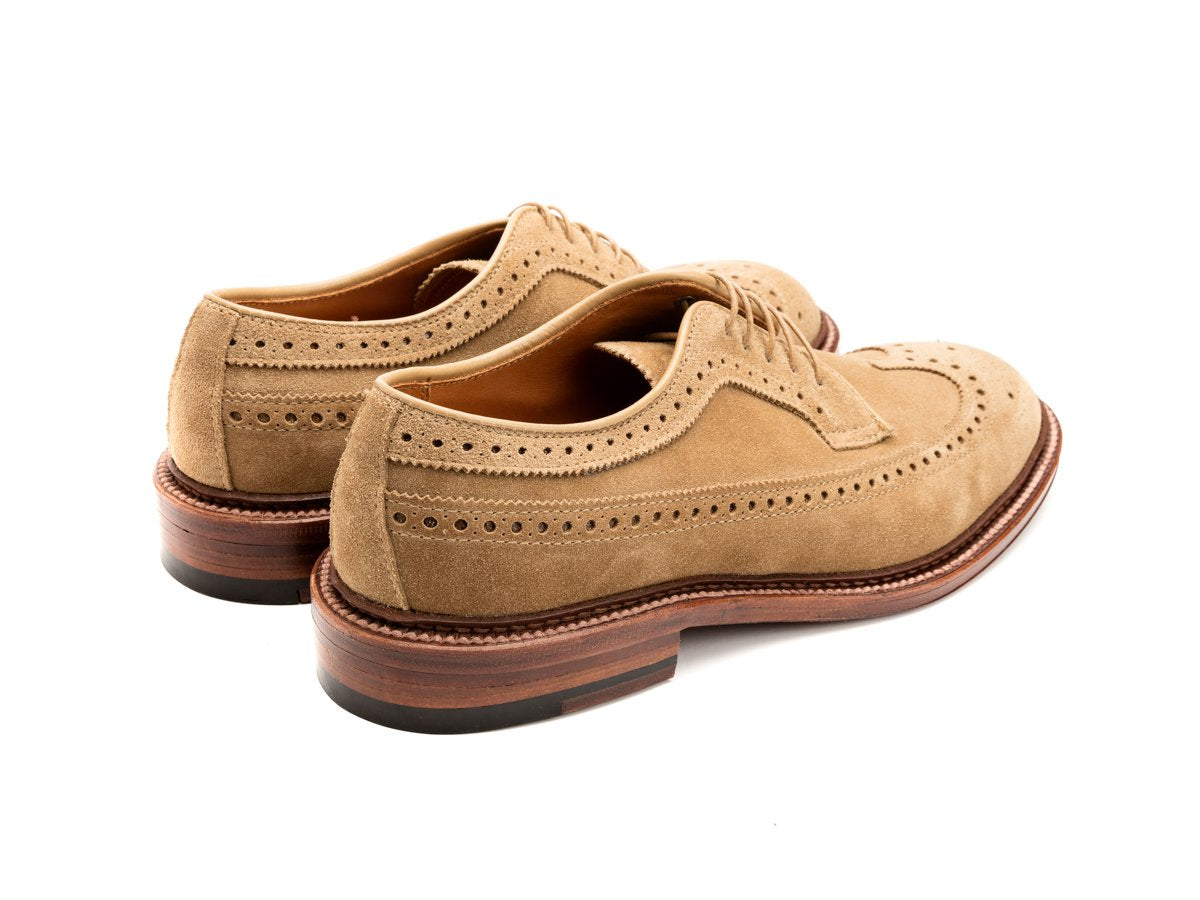 Back angle view of E width Alden longwing blucher shoes in tan suede
