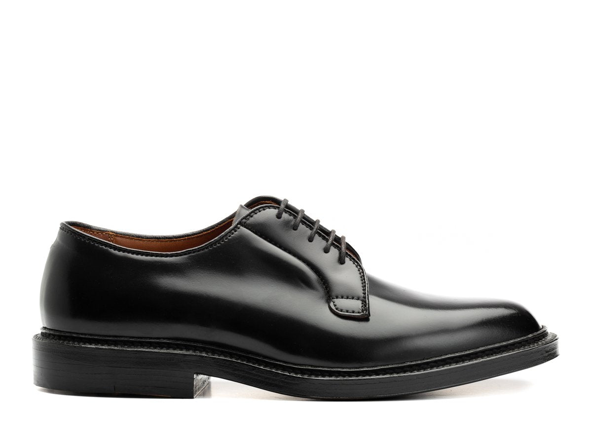 Side view of E width Alden plain toe blucher shoes in black shell cordovan