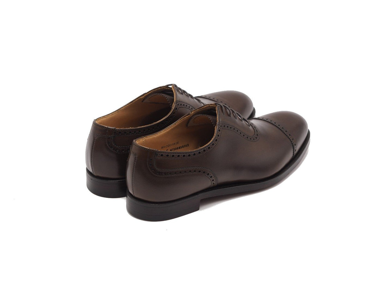 Back angle view of Crockett & Jones Macquarie adelaide brogue oxford shoes in dark brown burnished calf