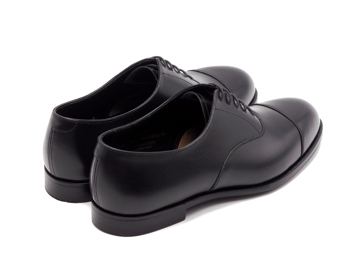 Bendigo Black Calf