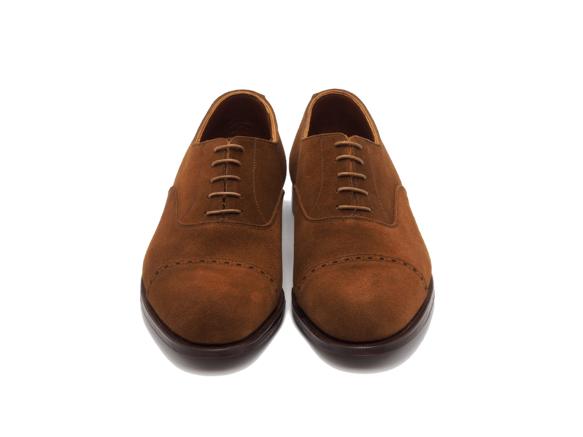 Ballarat Polo Calf Suede