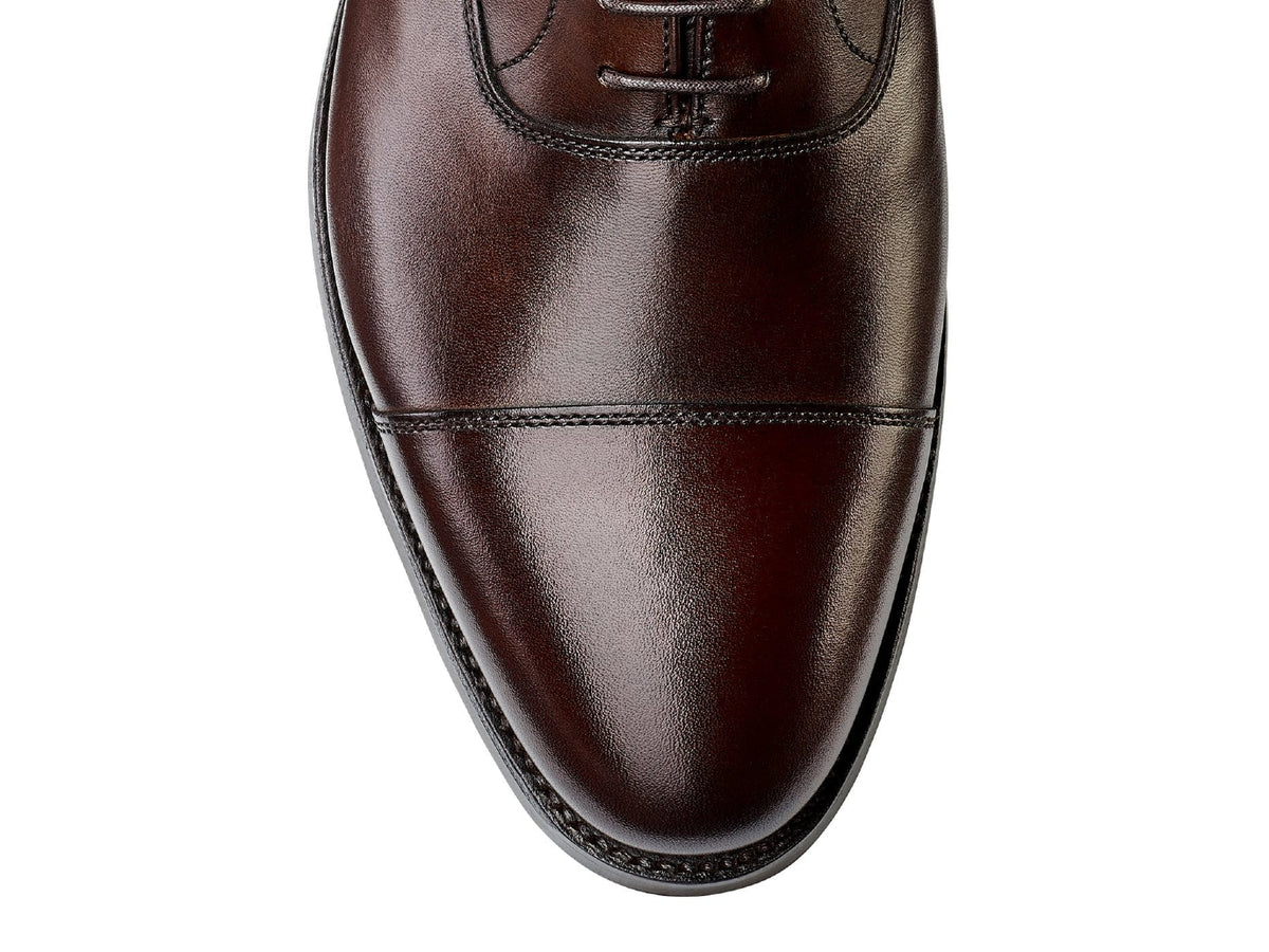 Connaught 2 Dark Brown Burnished Calf [PRE-ORDER]
