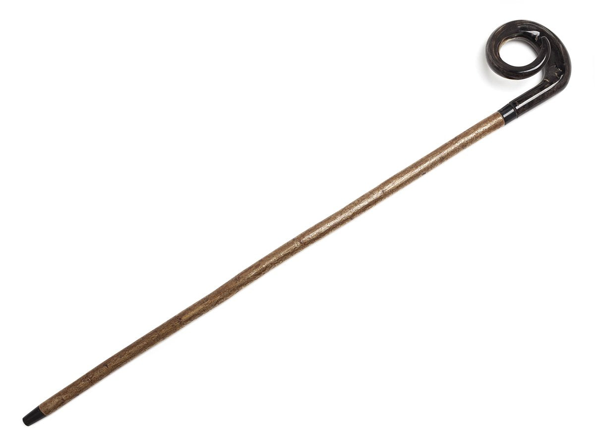Full length view of Abbeyhorn walking cane with dark coloured curly ramshorn handle