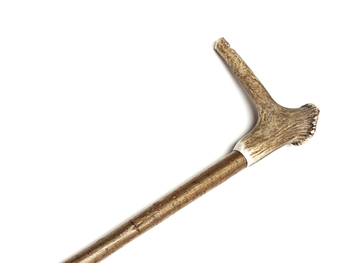 Close up of stag antler crown whistle on shoulder height solid hazel walking stick