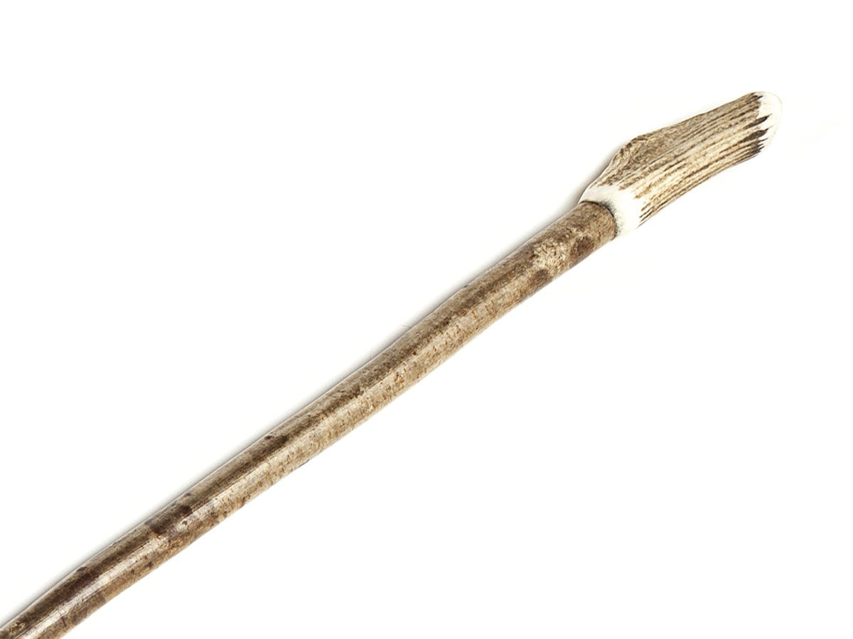 Close up of stag horn handle on shoulder height solid hazel walking stick