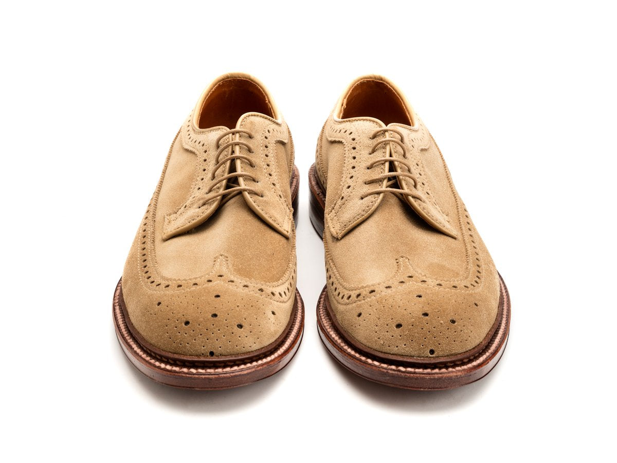 Front view of E width Alden longwing blucher shoes in tan suede