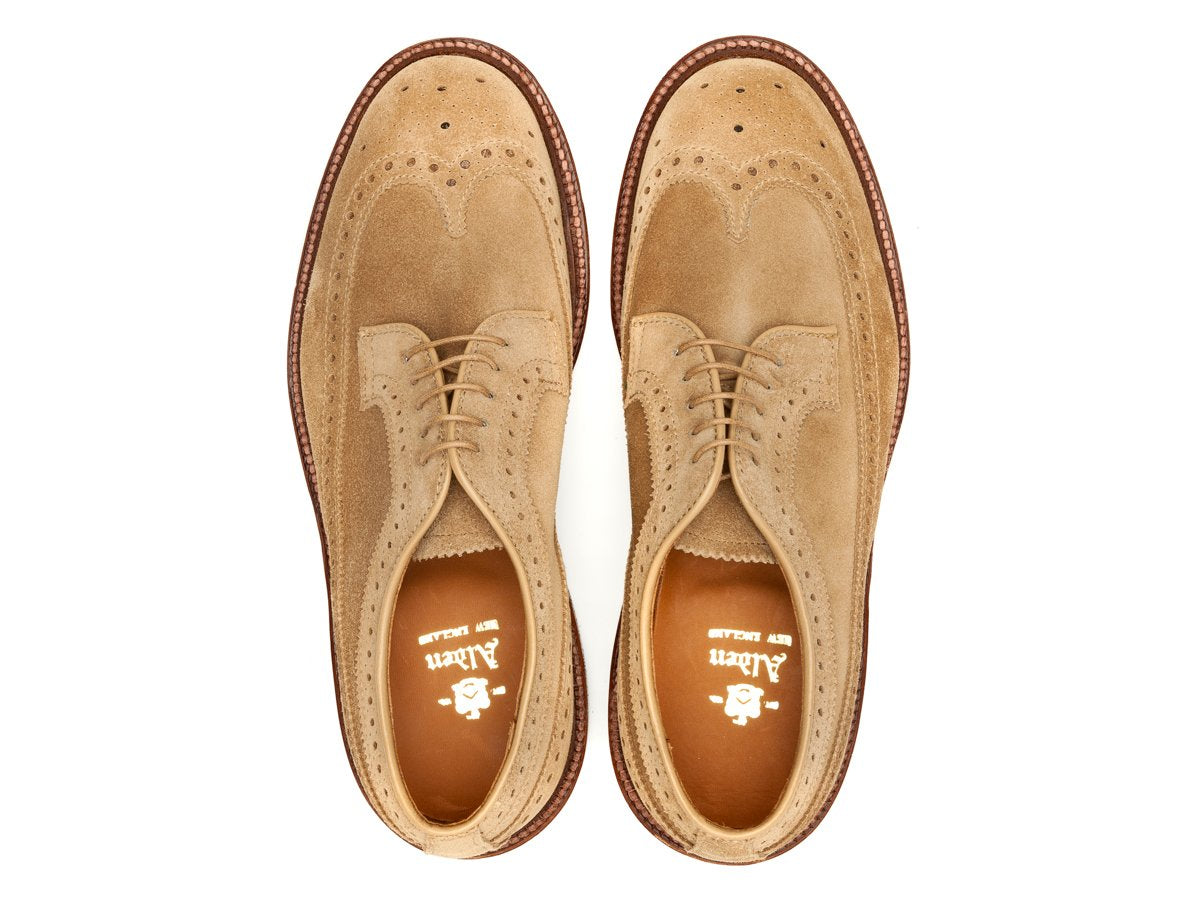 Top view of E width Alden longwing blucher shoes in tan suede