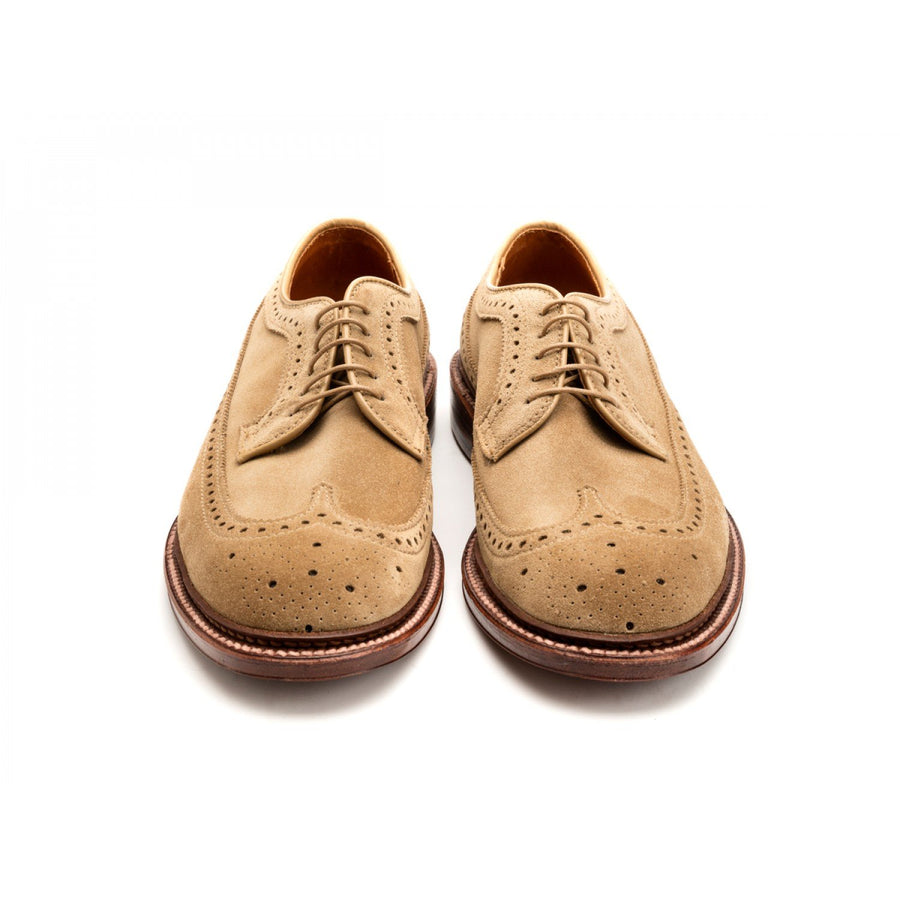 Front view of Alden longwing blucher shoes in tan suede