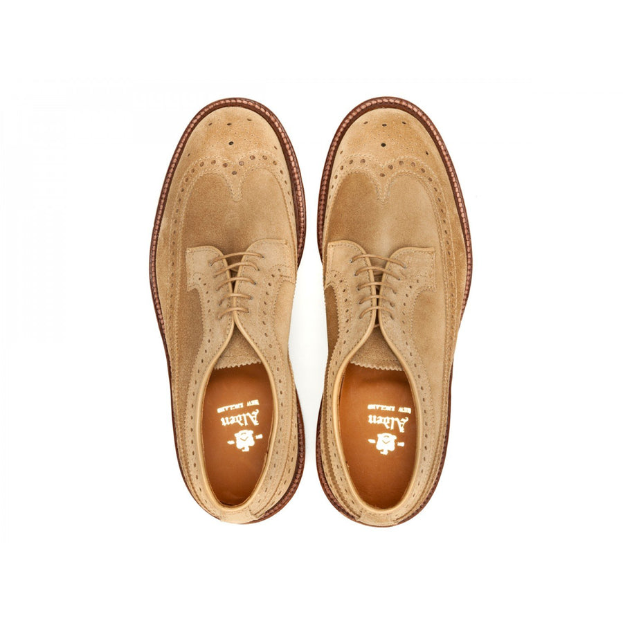 Top view of Alden longwing blucher shoes in tan suede