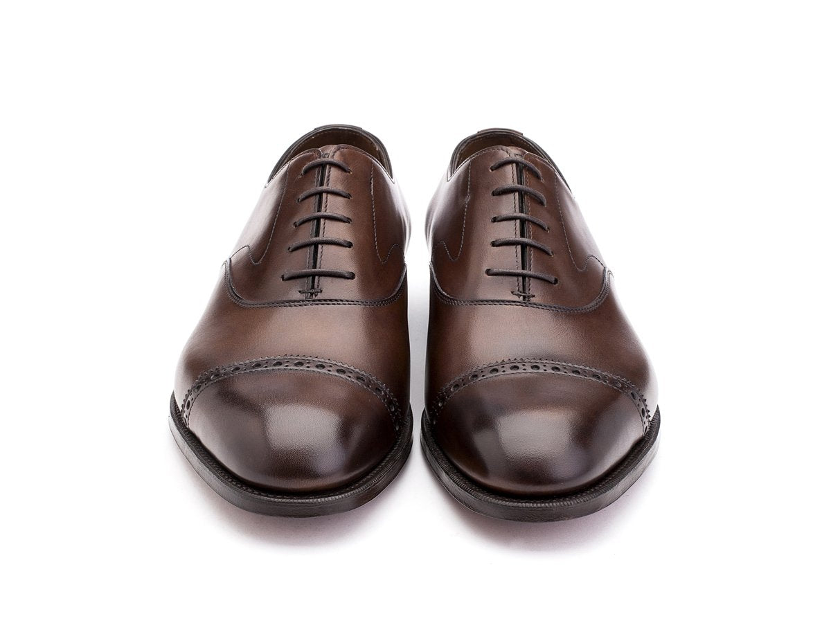 Front view of F width Edward Green Berkeley quarter brogue oxford shoes in dark oak antique calf