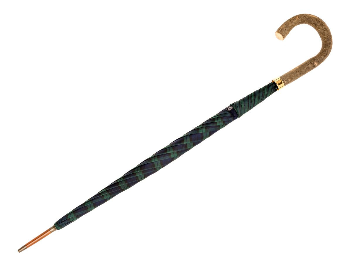 Full length view of ash handle tube Fox Umbrella with black watch tartan canopy