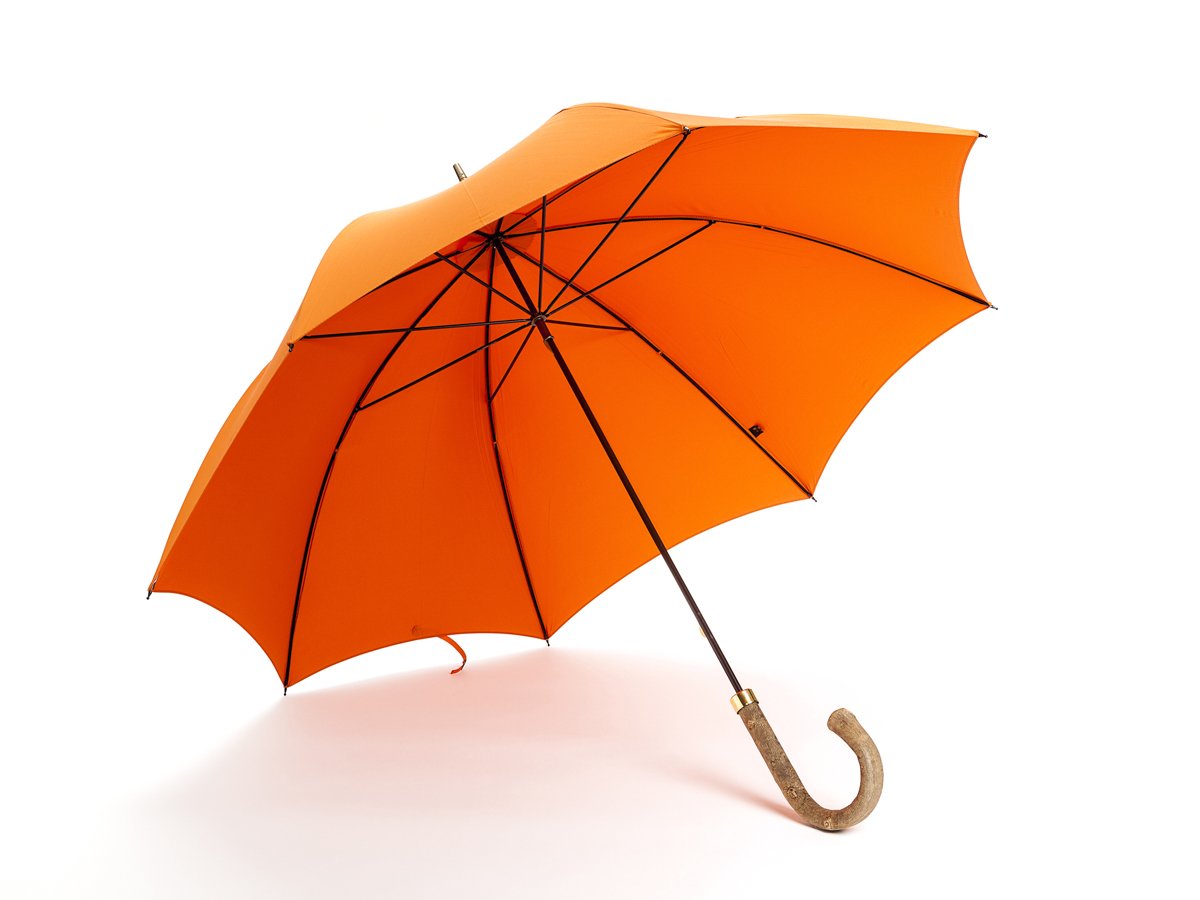 Opened ash handle tube Fox Umbrella with orange canopy
